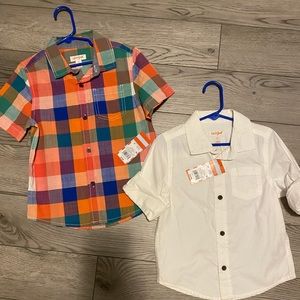 Boys Cat & Jack Shirts